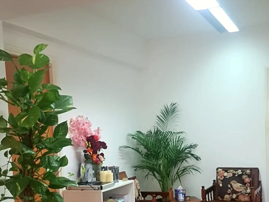 The lounge, full of plants